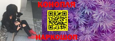 прущие грибы Ивантеевка