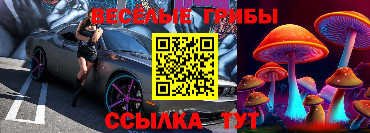 Псилоцибиновые грибы прущие грибы Верхняя Пышма